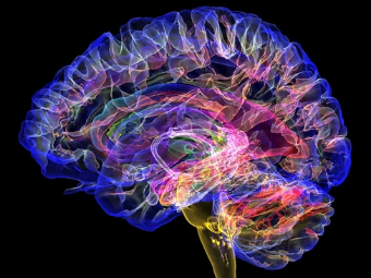 国模干逼网大脑植入物有助于严重头部损伤恢复